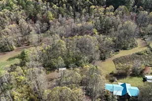 3590 Goshen Creek Rd, Clarkesville, GA 30523 - Photo 8