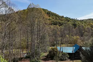 3590 Goshen Creek Rd, Clarkesville, GA 30523 - Photo 2