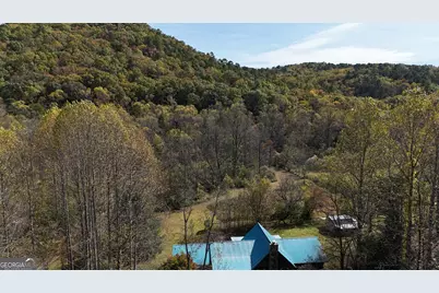 3590 Goshen Creek Road, Clarkesville, GA 30523 - Photo 4