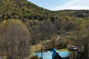 3590 Goshen Creek Rd, Clarkesville, GA 30523 - Photo 4