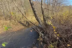 3590 Goshen Creek Rd, Clarkesville, GA 30523 - Photo 80