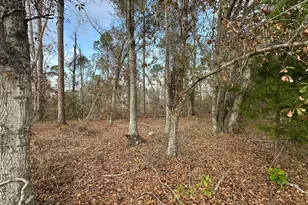 74 Community Church Rd, McRae-Helena, GA 31037 - Photo 36