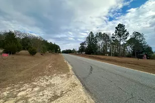 74 Community Church Rd, McRae-Helena, GA 31037 - Photo 2