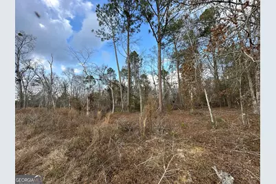 74 Community Church Road, McRae-Helena, GA 31037 - Photo 34