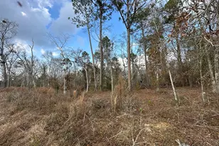 74 Community Church Rd, McRae-Helena, GA 31037 - Photo 34