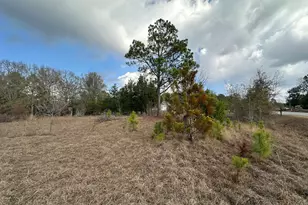 74 Community Church Rd, McRae-Helena, GA 31037 - Photo 30