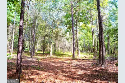 661 Hugh O Neal Road, Greenville, GA 30222 - Photo 8
