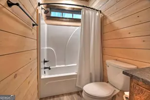 250 Wolf Creek Mountain Rd, Mineral Bluff, GA 30559 - Photo 14