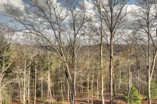 250 Wolf Creek Mountain Rd, Mineral Bluff, GA 30559 - Photo 54