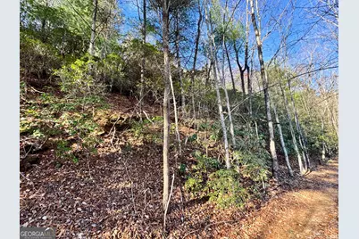 0 Mule Branch Road, Helen, GA 30545 - Photo 6
