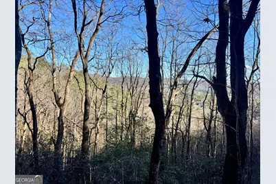 0 Mule Branch Road, Helen, GA 30545 - Photo 12