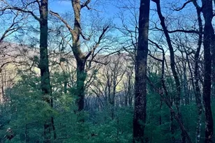 0 Mule Branch Rd, Helen, GA 30545 - Photo 1