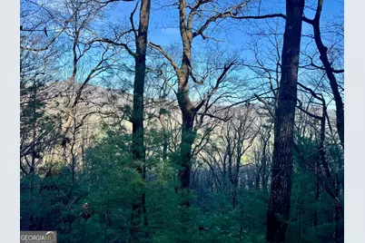 0 Mule Branch Road, Helen, GA 30545 - Photo 8