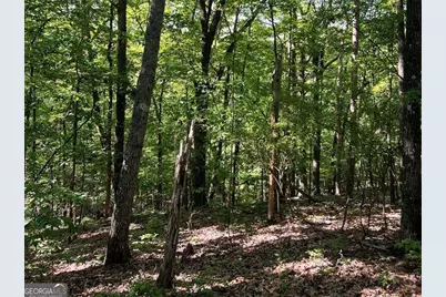 3285 Wood Poppy Drive, Jasper, GA 30143 - Photo 8