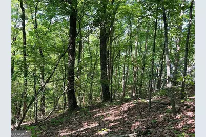 3285 Wood Poppy Drive, Jasper, GA 30143 - Photo 10