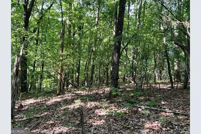 3285 Wood Poppy Drive, Jasper, GA 30143 - Photo 6