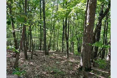 3285 Wood Poppy Drive, Jasper, GA 30143 - Photo 14