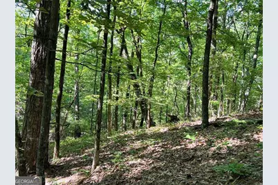 3285 Wood Poppy Drive, Jasper, GA 30143 - Photo 12