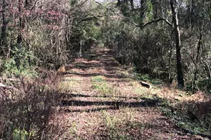 216 E Moores Crossing Rd, Thomaston, GA 30286 - Photo 1