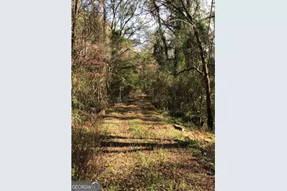216 E.Moores Crossing Road, Thomaston, GA 30286 - Photo 2
