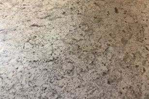 155 Mimosa Dr, Athens, GA 30605 - Photo 16