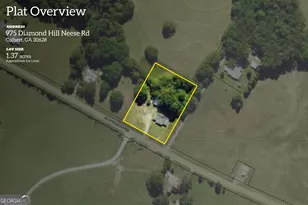 975 Diamond Hill Neese Rd, Colbert, GA 30628 - Photo 4