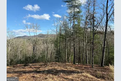 Lot 86 Lookout Ridge, Mineral Bluff, GA 30559 - Photo 4