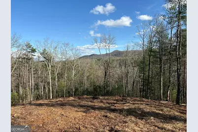 Lot 86 Lookout Ridge, Mineral Bluff, GA 30559 - Photo 2