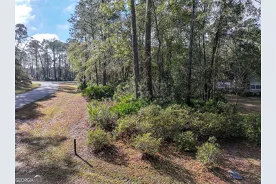Lot 1 Turtle Dove Way, Waverly, GA 31565 - Photo 12