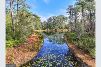 Lot 1 Turtle Dove Way, Waverly, GA 31565 - Photo 22