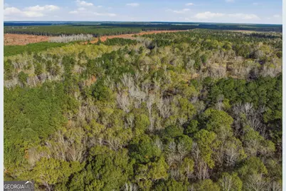 265 Jordan Meadow Lane, Sandersville, GA 31082 - Photo 50