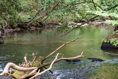 60 E Conasauga Creek, Ellijay, GA 30540 - Photo 24