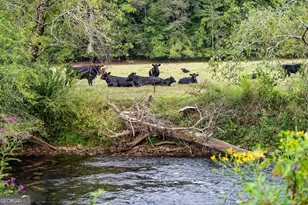 60 E Conasauga Creek, Ellijay, GA 30540 - Photo 18