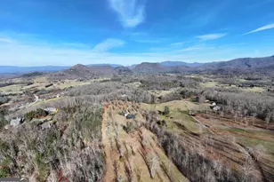 215 Harmony Ln, Hiawassee, GA 30546 - Photo 66