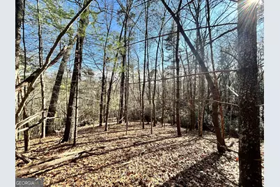 0 Bahn Innsbruck, Helen, GA 30545 - Photo 2