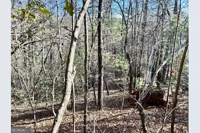 0 Bahn Innsbruck, Helen, GA 30545 - Photo 4