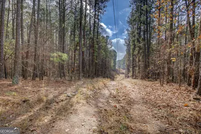 92 Marben Farm Road, Shady Dale, GA 31085 - Photo 22