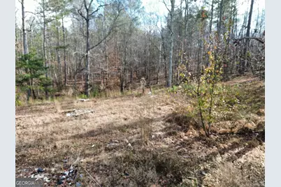 881 S Little New York Trail, Whitesburg, GA 30185 - Photo 2