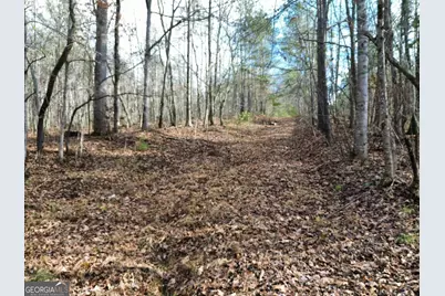 881 S Little New York Trail, Whitesburg, GA 30185 - Photo 6