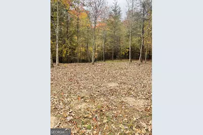 0 Hellyer Drive, Cleveland, GA 30528 - Photo 20