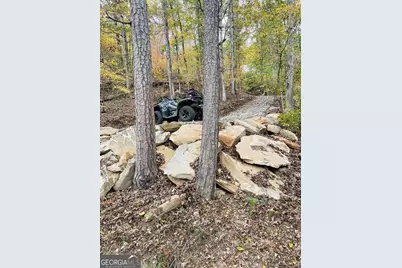 0 Hellyer Drive, Cleveland, GA 30528 - Photo 12