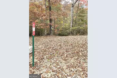 0 Hellyer Drive, Cleveland, GA 30528 - Photo 28