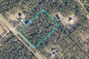 0 Muskogee Trl Rd, Dublin, GA 31021 - Photo 1