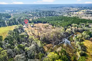 1070 Birdie Rd, Griffin, GA 30223 - Photo 40