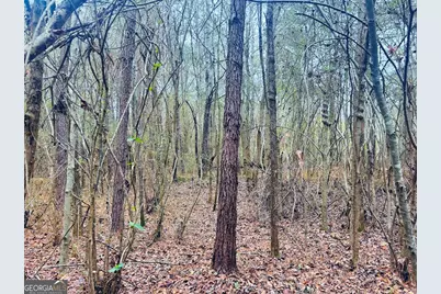 0 Hopeful/Cheaha Road #LOT 4, Munfurd, AL 36268 - Photo 28