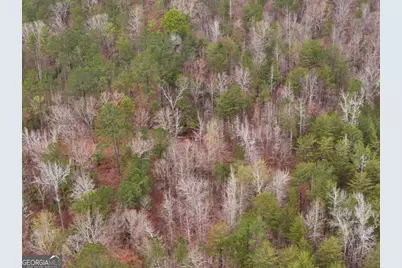 0 Hopeful/Cheaha Road #LOT 4, Munfurd, AL 36268 - Photo 20