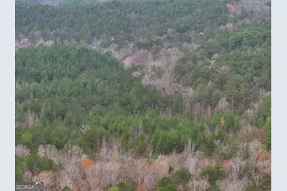 0 Hopeful/Cheaha Road #LOT 4, Munfurd, AL 36268 - Photo 1