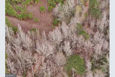 0 Hopeful/Cheaha Road #LOT 4, Munfurd, AL 36268 - Photo 14