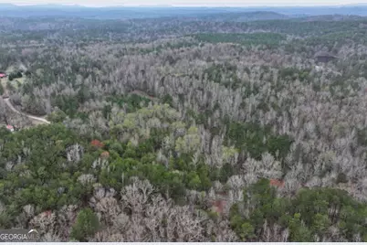 0 Hopeful/Cheaha Road #LOT 4, Munfurd, AL 36268 - Photo 6