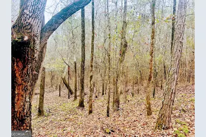 0 Hopeful/Cheaha Road #LOT 4, Munfurd, AL 36268 - Photo 30